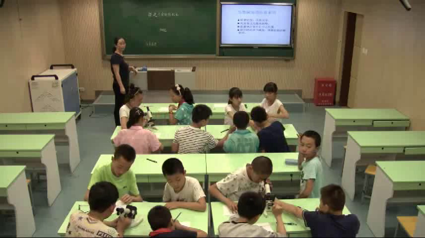 苏教2001版科学六上《4搭建生命体的“积木”》山西张老师-省一等奖