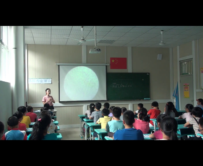 苏教2001版科学六上《4搭建生命体的“积木”》福建刘老师-市一等奖