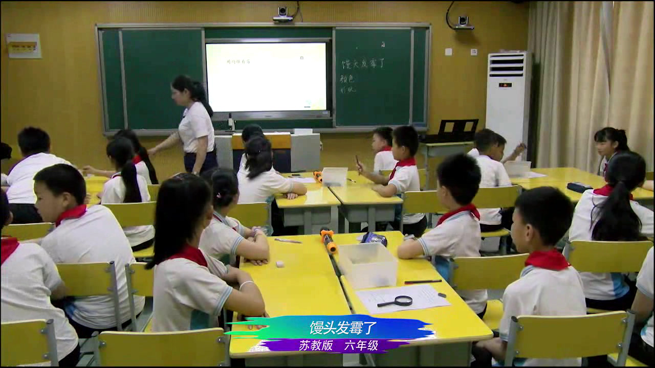 苏教2001版科学六上《3馒头发霉了》安徽谢老师-市一等奖