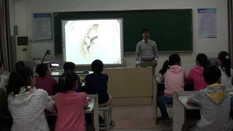 苏教2001版科学六上《2地球的表面》江苏王老师-市一等奖