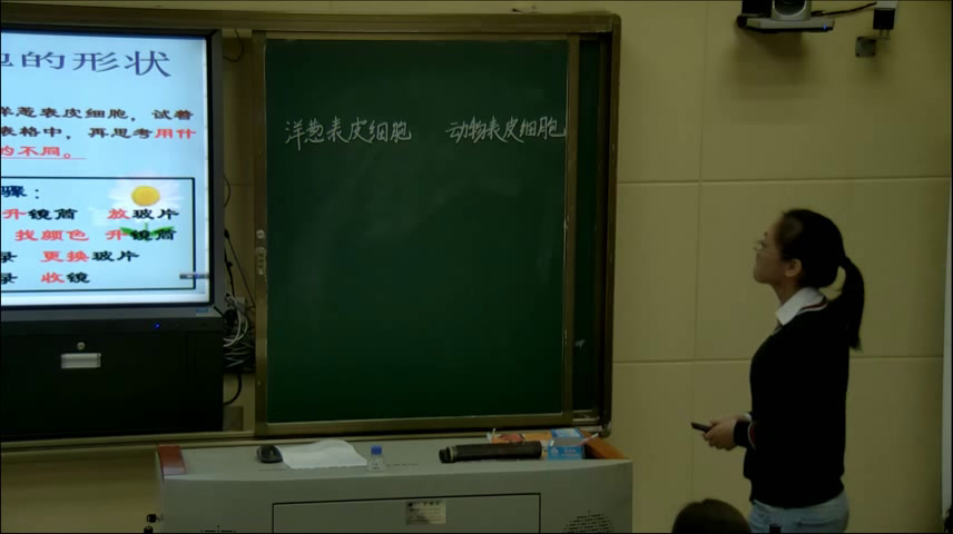 苏教2001版科学六上《4搭建生命体的“积木”》四川聂老师-市一等奖