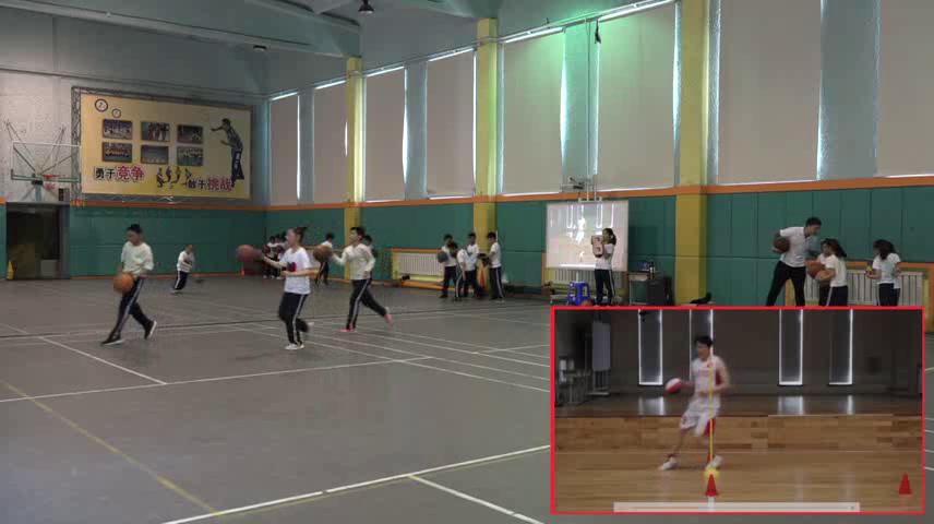 体育三四年级《小篮球 行进间运球》辽宁栾老师-省一等奖