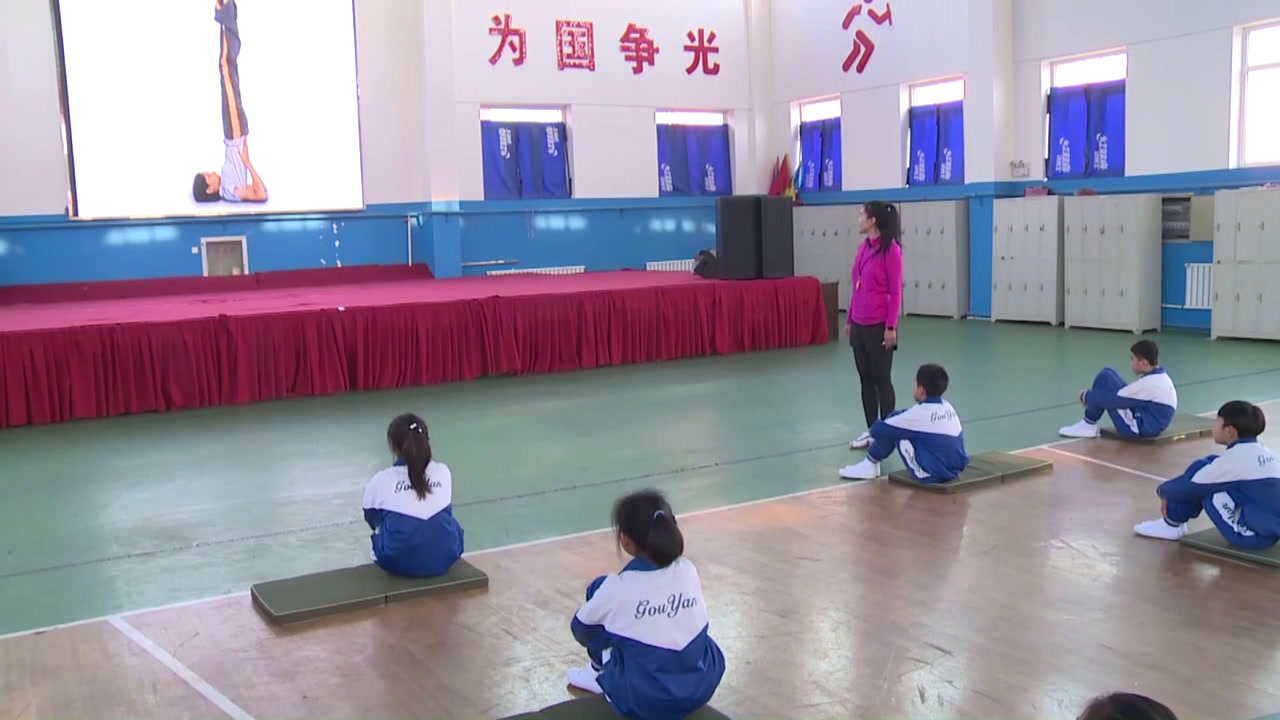  体育五六年级《体操-器械与技巧》辽宁段老师-省一等奖