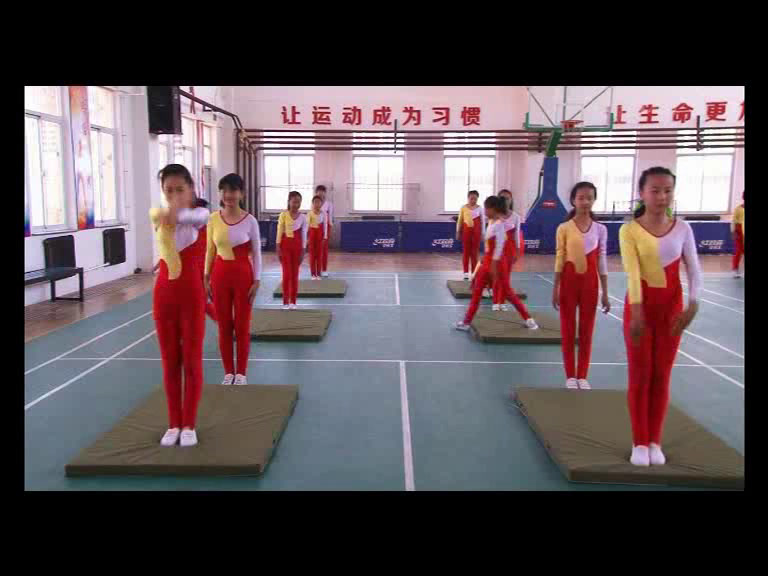  体育五六年级《 滚翻组合练习》辽宁田老师-全国一等奖