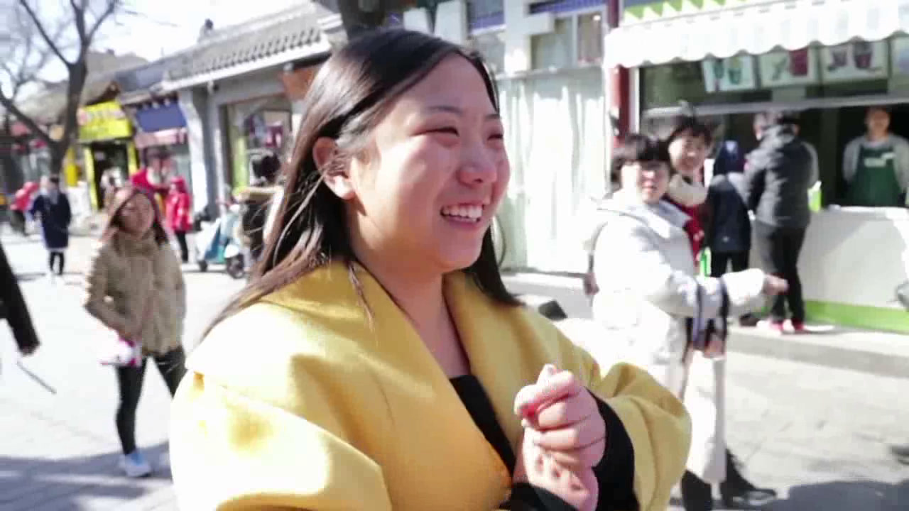 人美版美术《美术鉴赏》《第二十课关注当今城市建设--城市建设开发与古建筑的保护》北京姜老师-全国一等奖