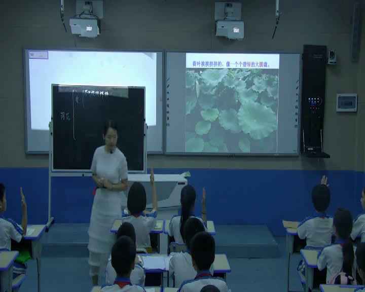 部编版小学语文三下《3荷花》海南王老师-省一等奖