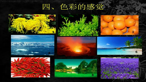 人美版美术《绘画》《第五课五光十色绚丽多彩--绘画的色彩》北京王老师-全国一等奖