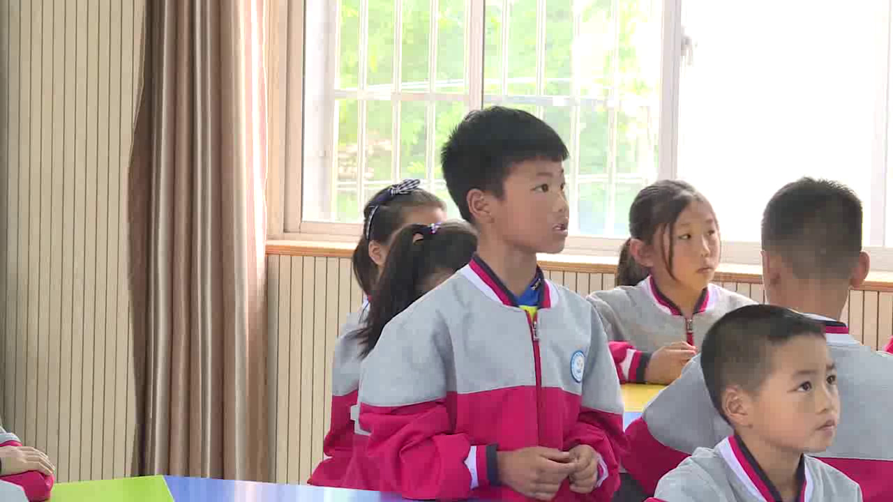 教科2017版科学二下《3.磁铁的两极》湖北高老师-市一等奖