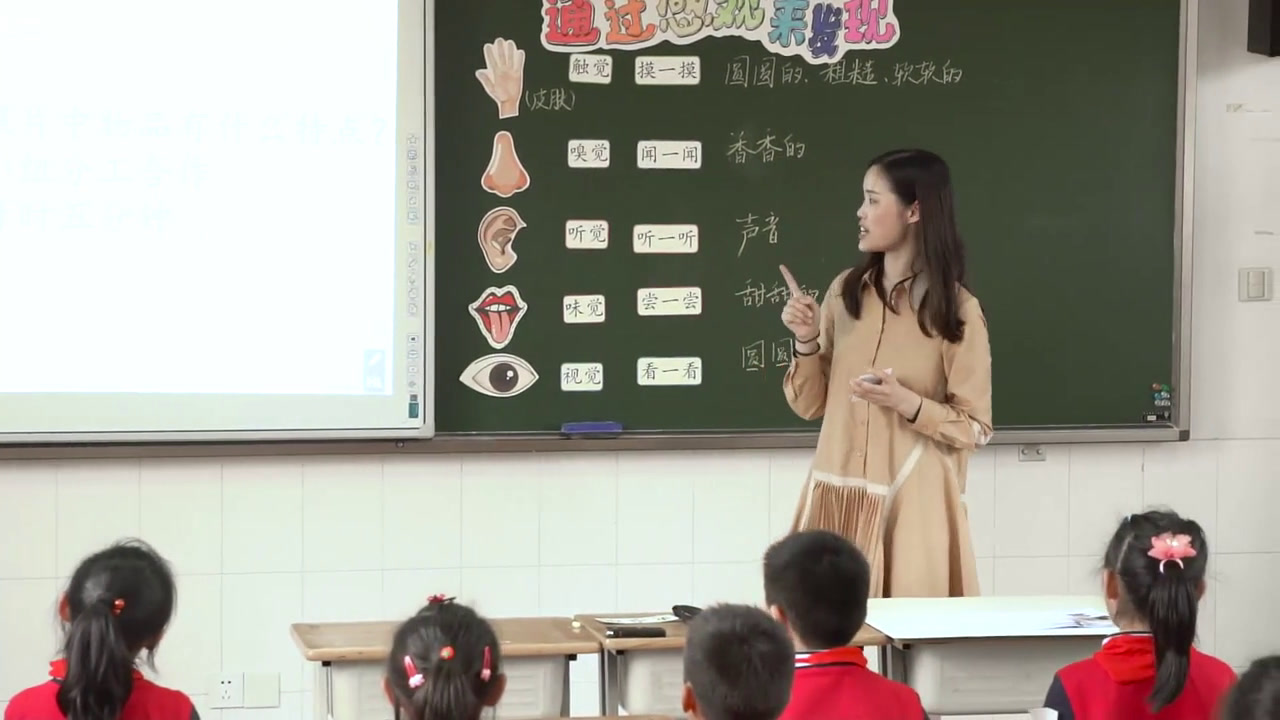 教科2017版科学二下《2.通过感官来发现》浙江贺老师-省一等奖
