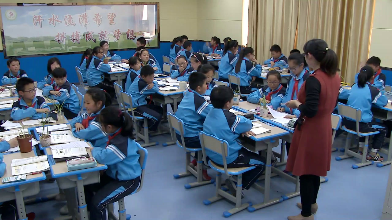 苏教版数学五下《●蒜叶的生长》安徽孔老师-市一等奖