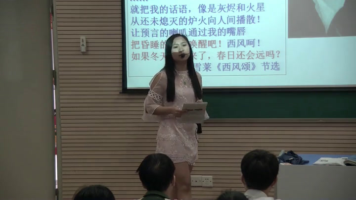 岳麓书社版历史必修三《第17课　诗歌、小说与戏剧》广东叶老师-市一等奖
