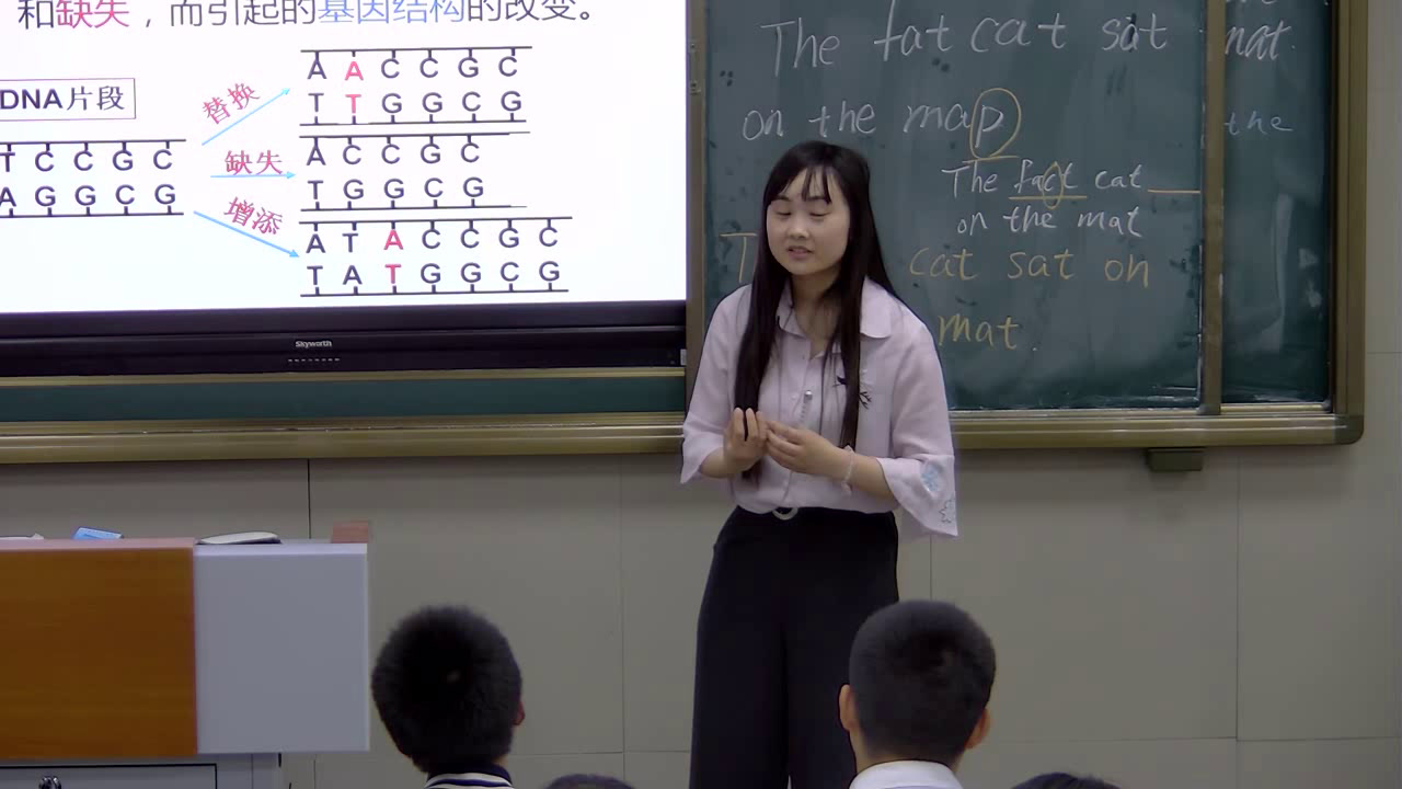 苏教版生物必修2《基因突变》江苏齐老师-全国一等奖