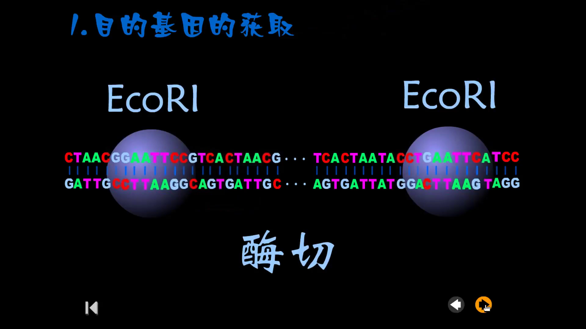 苏教版生物必修2《基因工程及其应用》江苏何老师-市一等奖