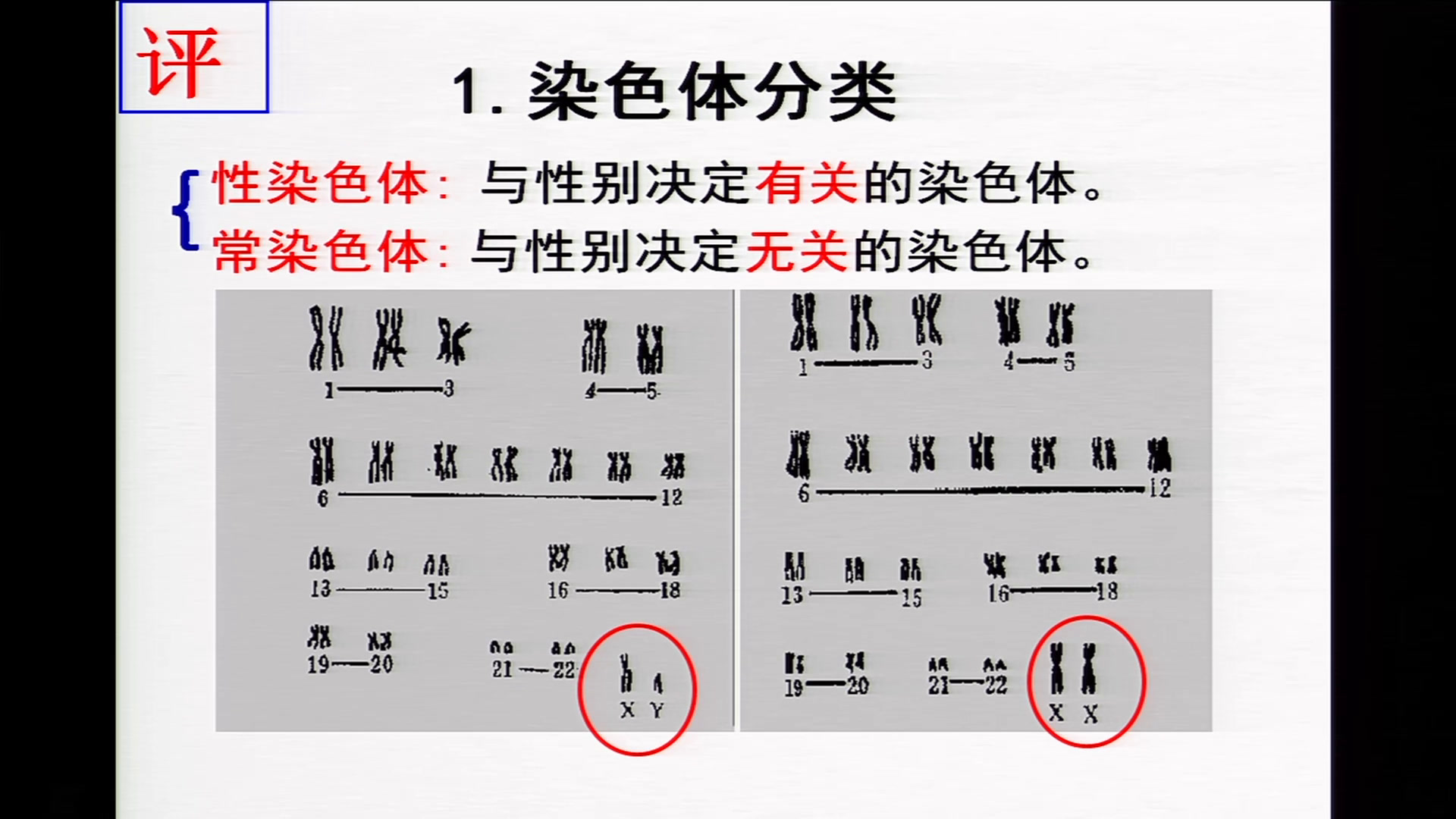 苏教版生物必修2《性别决定和伴性遗传》江苏庄老师-市一等奖