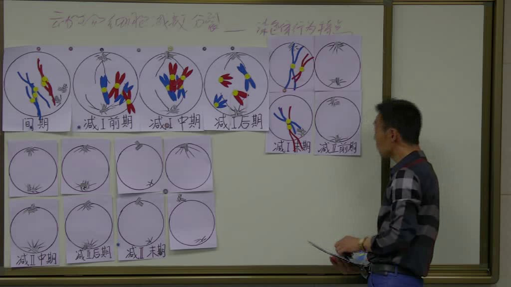 苏教版生物必修2《第一节减数分裂》陕西房老师-市一等奖