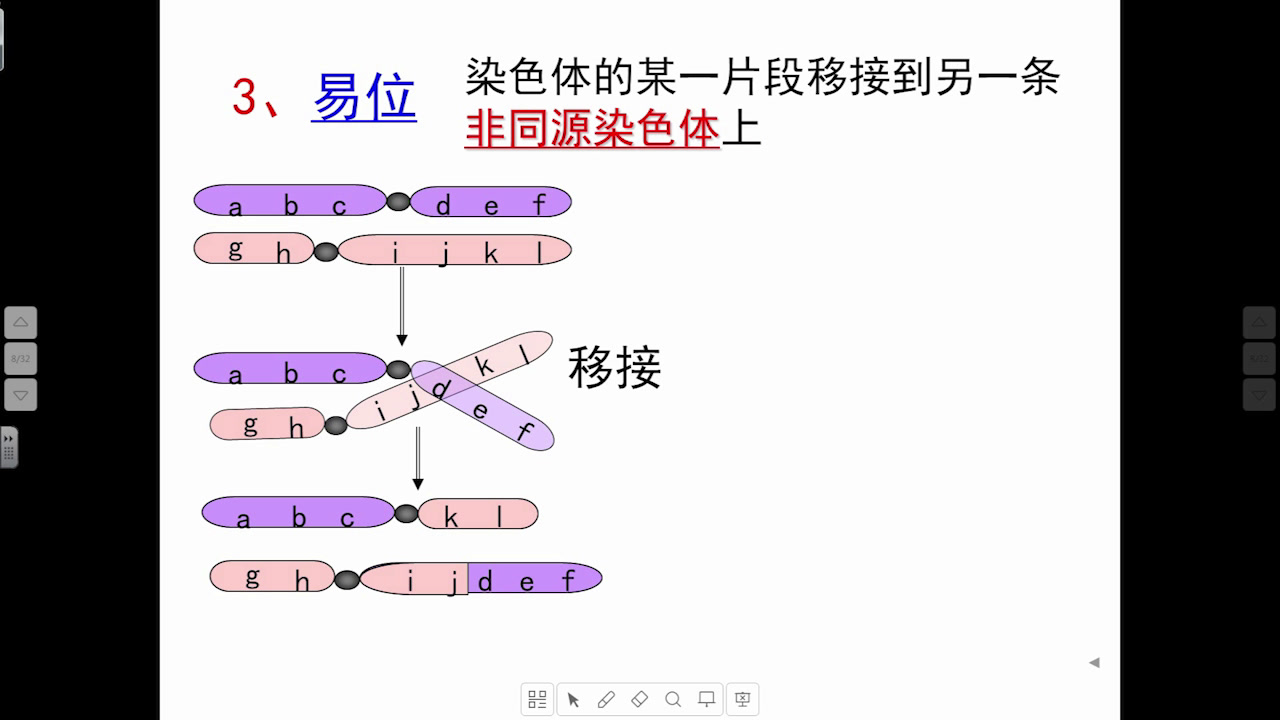 苏教版生物必修2《染色体结构的变异》安徽董老师-市一等奖