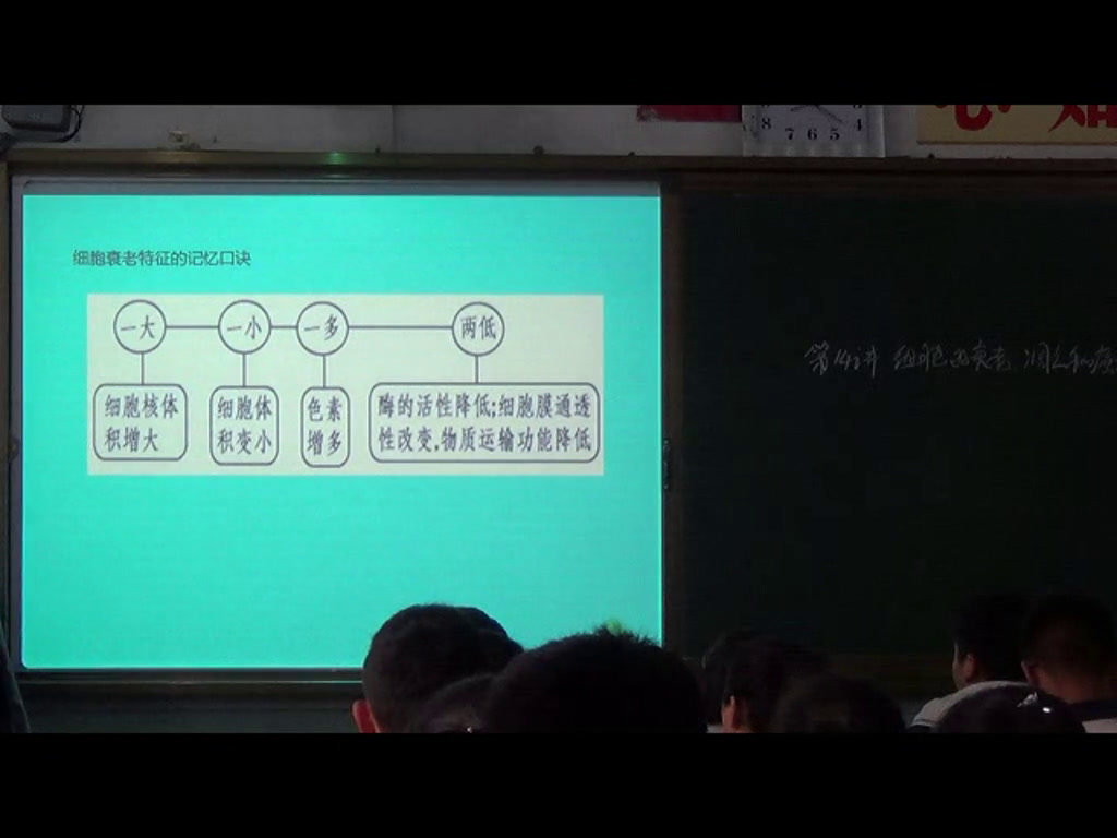 苏教版生物必修1《细胞衰老和凋亡》青海杨老师-市一等奖
