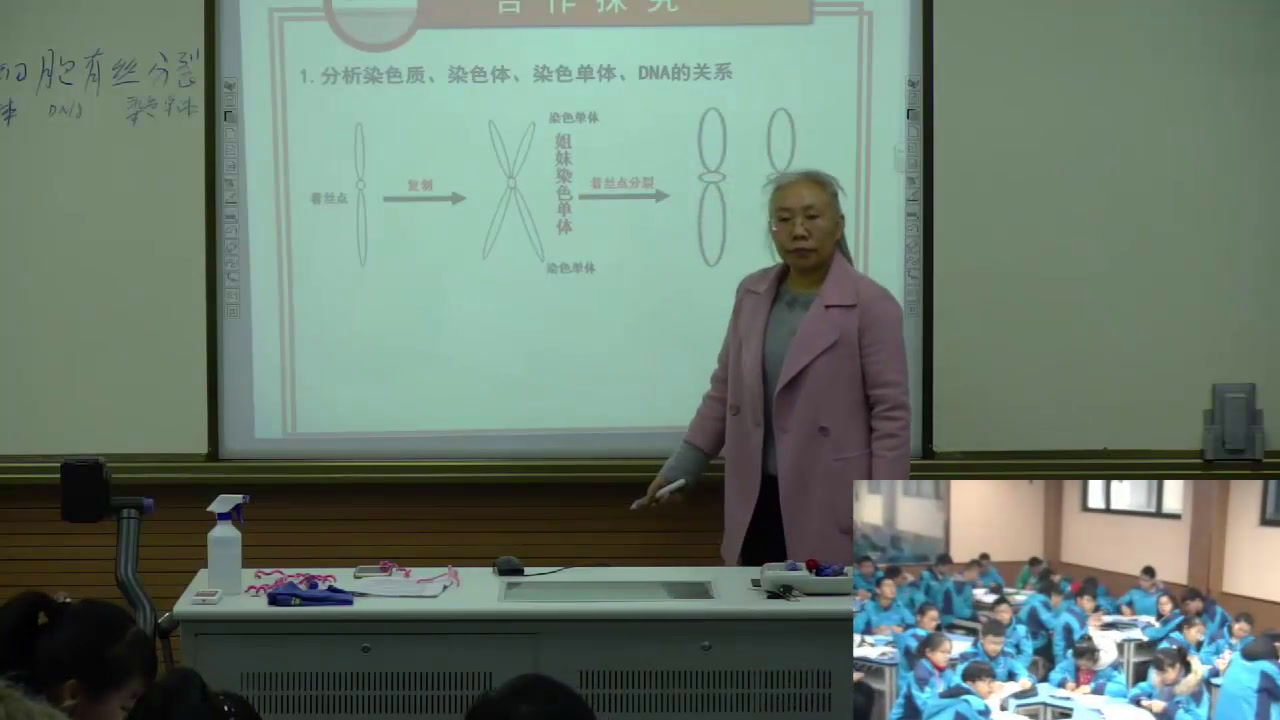 苏教版生物必修1《细胞周期与有丝分裂》江苏沙老师-市一等奖
