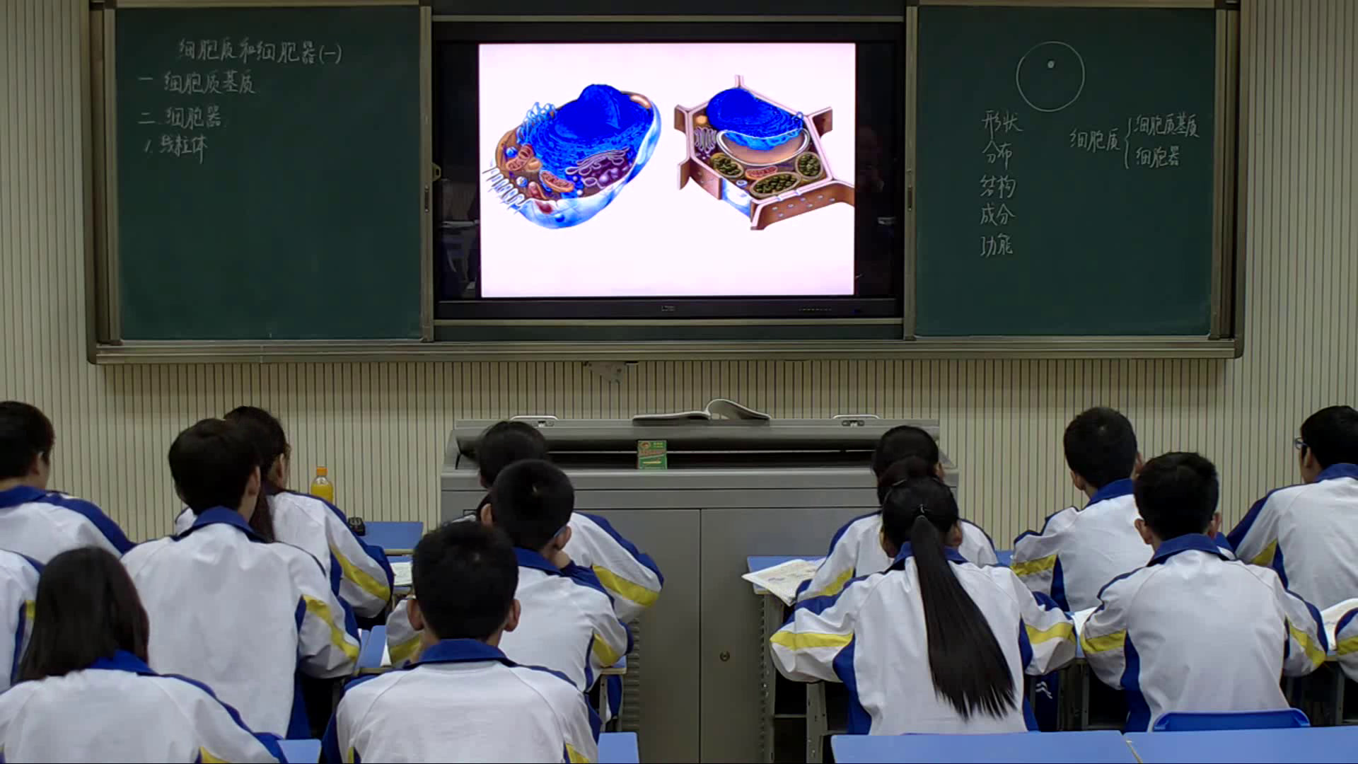 苏教版生物必修1《细胞质和细胞器》陕西王老师-全国一等奖