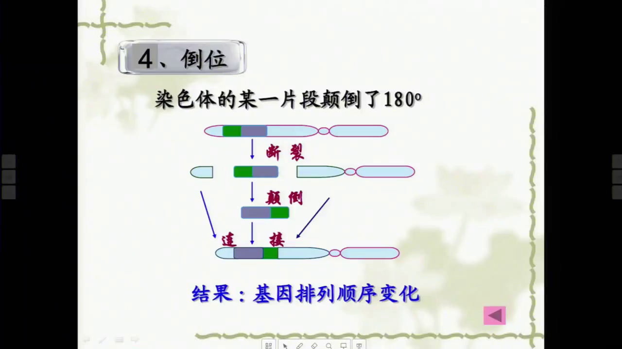 苏教版生物必修2《染色体结构的变异》山西王老师-市一等奖