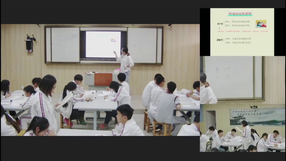苏教版生物必修2《性别决定和伴性遗传》江苏徐老师-市一等奖