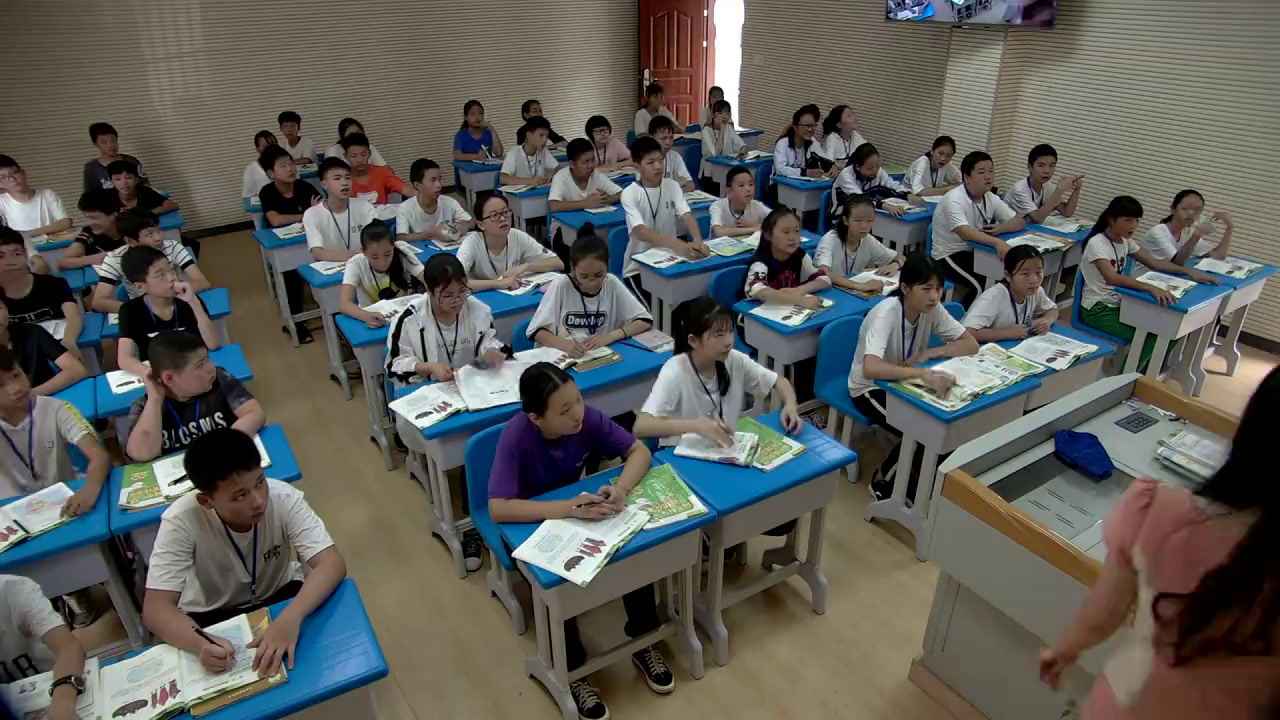 粤人版地理七下《第三节南亚》广东吴老师-市一等奖