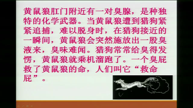 苏教版生物必修3《生态系统中的信息传递》河南刘老师-市一等奖