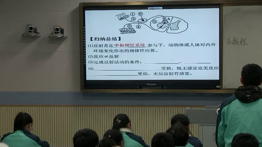 苏教版生物必修3《人体生命活动的神经调节》江苏杨老师-县级优课