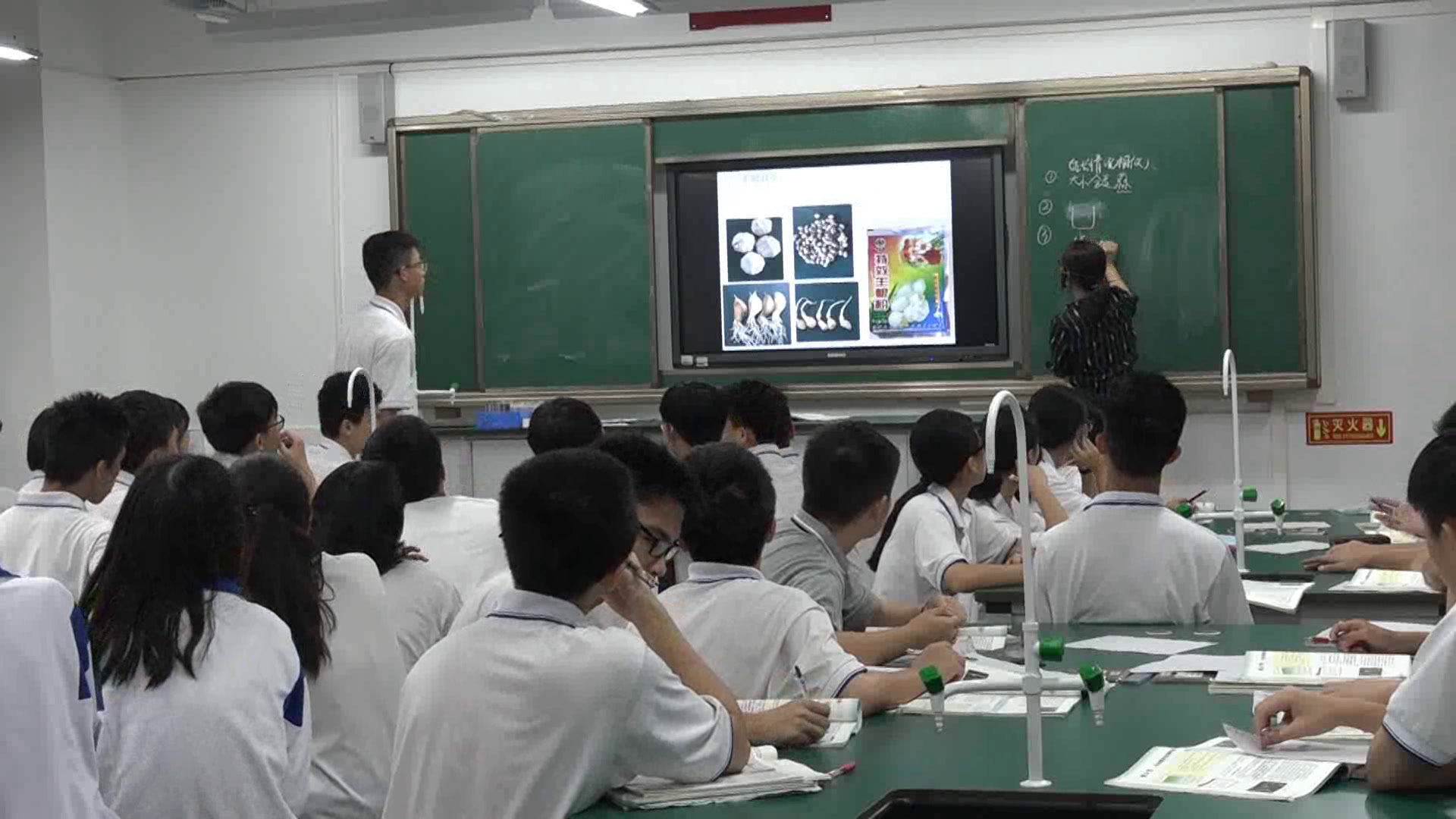 苏教版生物必修3《生长素的特性与生理作用》广东黄老师-市一等奖