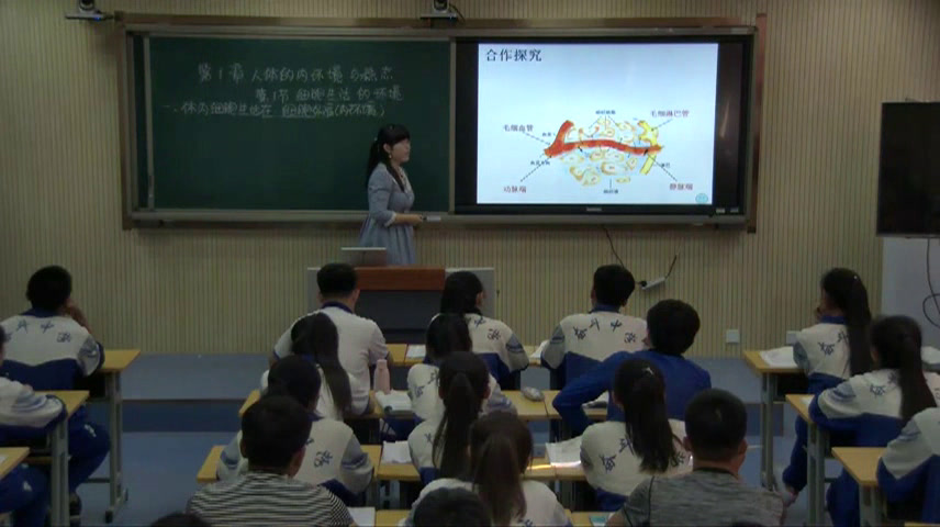 苏教版生物必修3《内环境的稳态》内蒙赵老师-县级优课