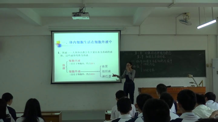 苏教版生物必修3《内环境的稳态》广东肖老师-县级优课