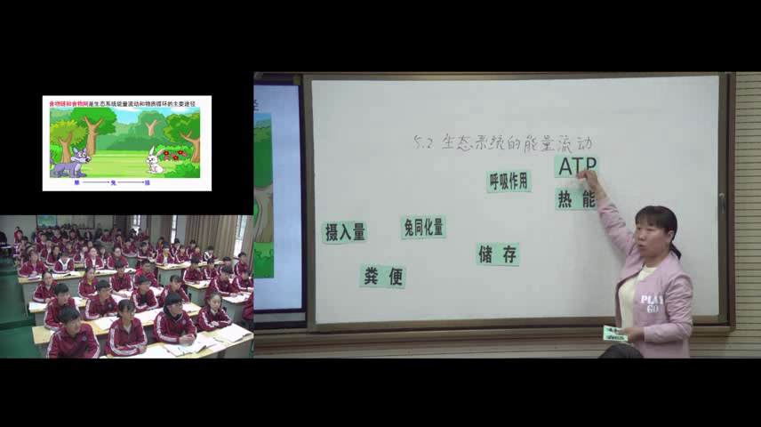 苏教版生物必修3《生态系统中的能量流动》河南秦老师-市一等奖