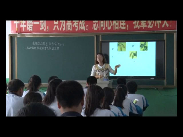 苏教版生物必修2《孟德尔获得成功的原因》辽宁老师-