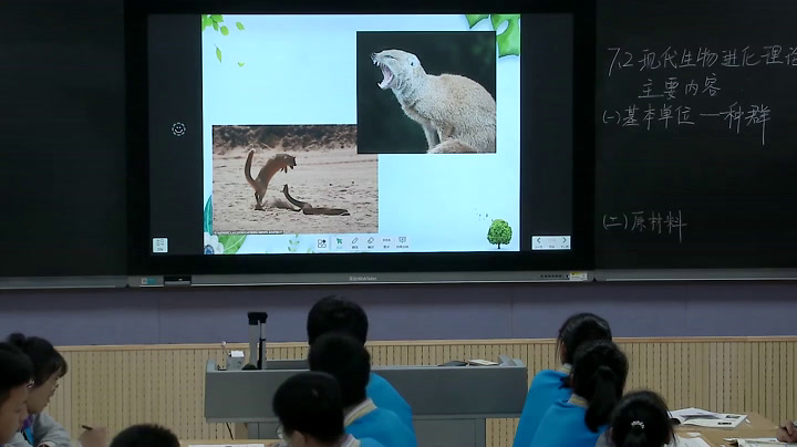 苏教版生物必修2《现代达尔文主义》江苏老师-县级优课