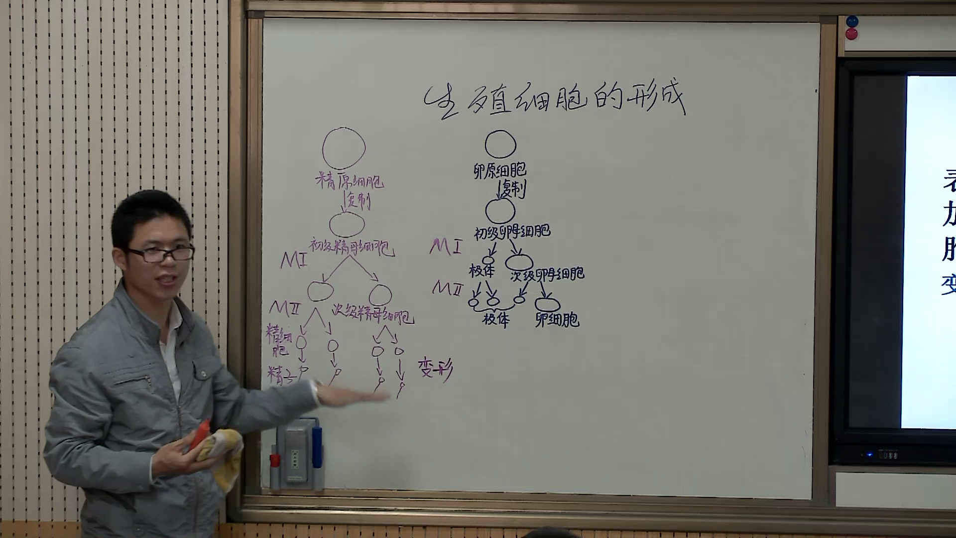 苏教版生物必修2《生殖细胞的形成》陕西老师-县级优课