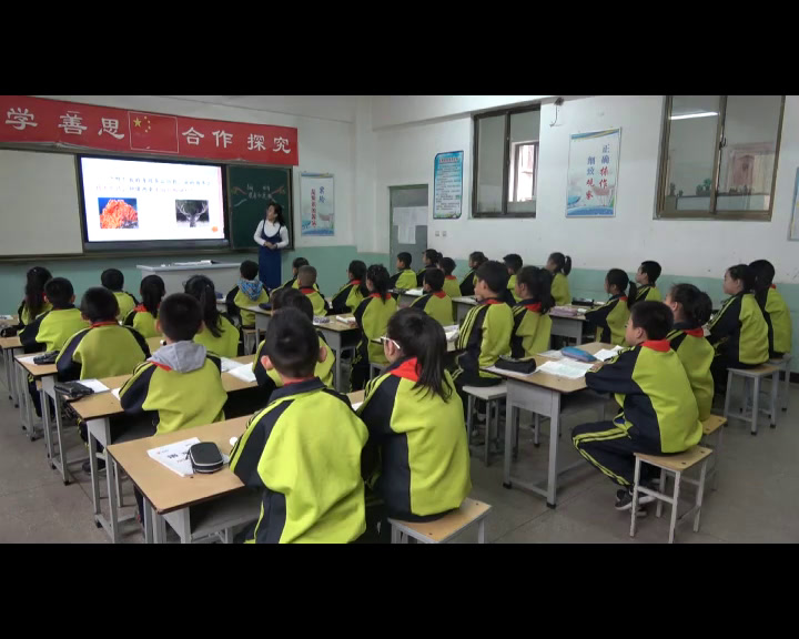 部编版语文三下《7鹿角和鹿腿》山西侯老师-省一等奖