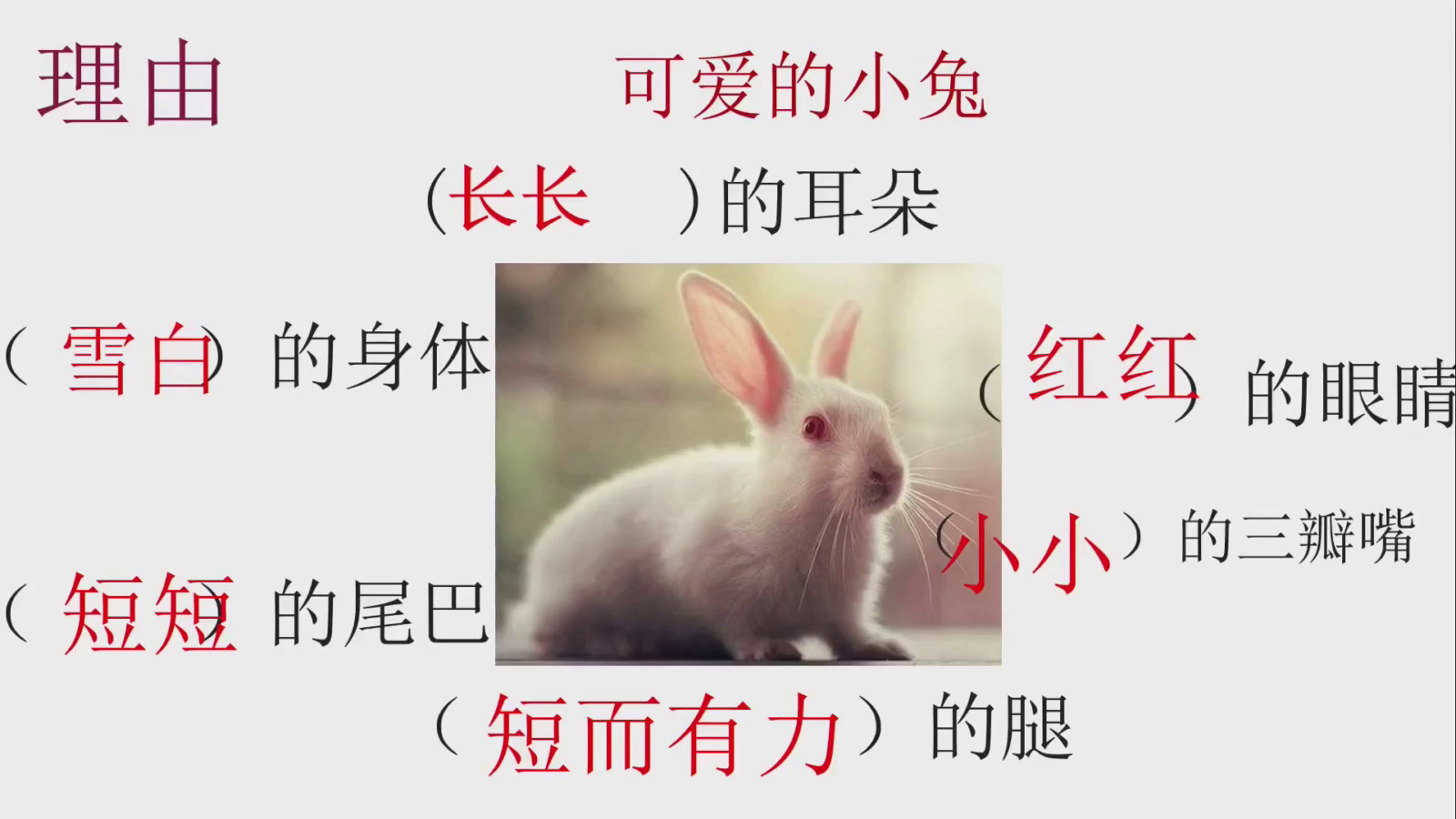 部编版语文二下《语文园地七写话》海南张老师-省一等奖