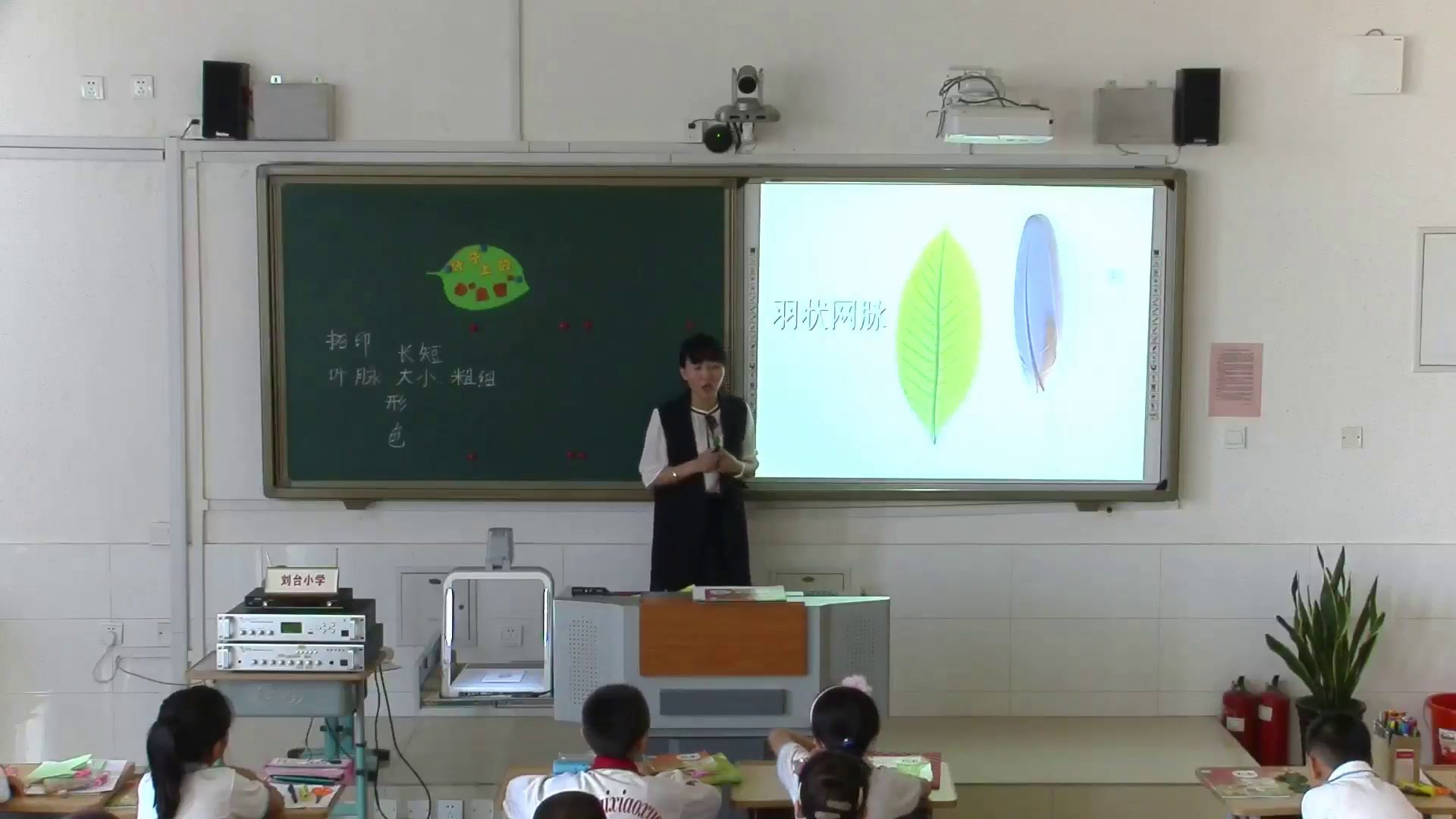 人教版美术二下《第8课　叶子上的小“血管”》天津卢老师-全国一等奖