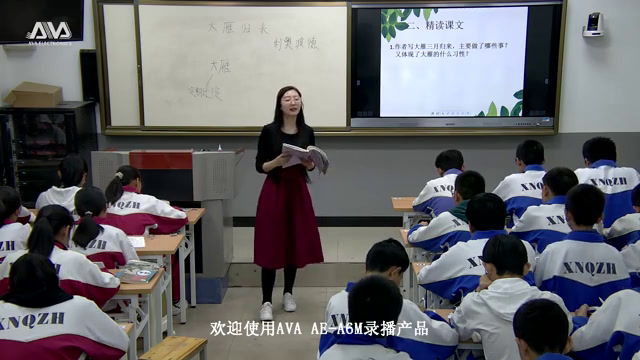 部编版语文八下《7大雁归来》青海杨老师-省一等奖