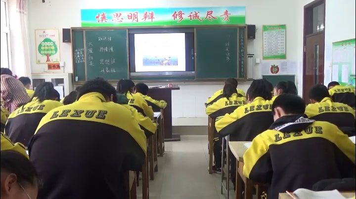 部编版语文八下《7大雁归来》内蒙张老师-省一等奖