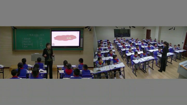 部编版道德与法治二下《12我的环保小搭档》辽宁王老师-省一等奖