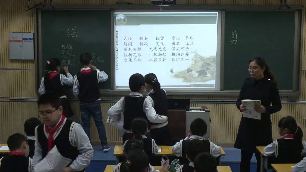 部编版语文四下《13.猫》河南刘老师-全国一等奖