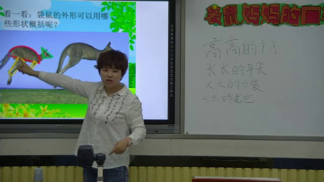 湘美版美术一下《8.袋鼠妈妈的口袋》安徽高老师-市一等奖