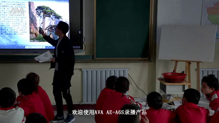 人教版美术五下《第11课学画松树》新疆靳老师-省一等奖