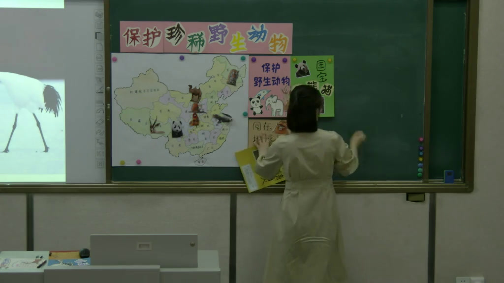人教版美术三下《第19课保护珍稀野生动物》黑龙江张老师-全国一等奖