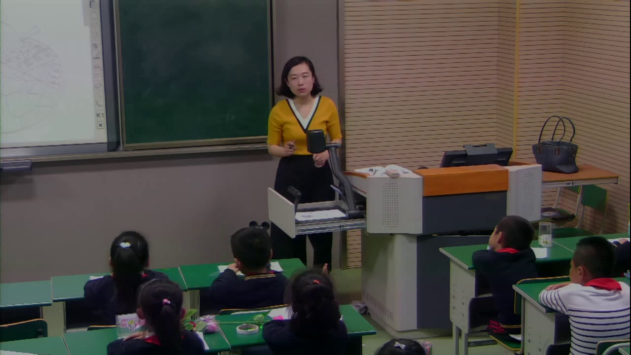 苏少版美术二下《第13课　会变的花、树、叶》江苏王老师-市一等奖