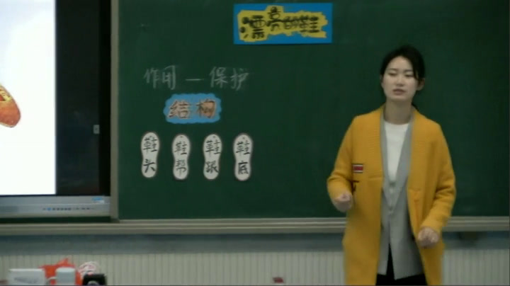 苏少版美术六下《第4课　漂亮的鞋（一）》江苏王老师-县级优课