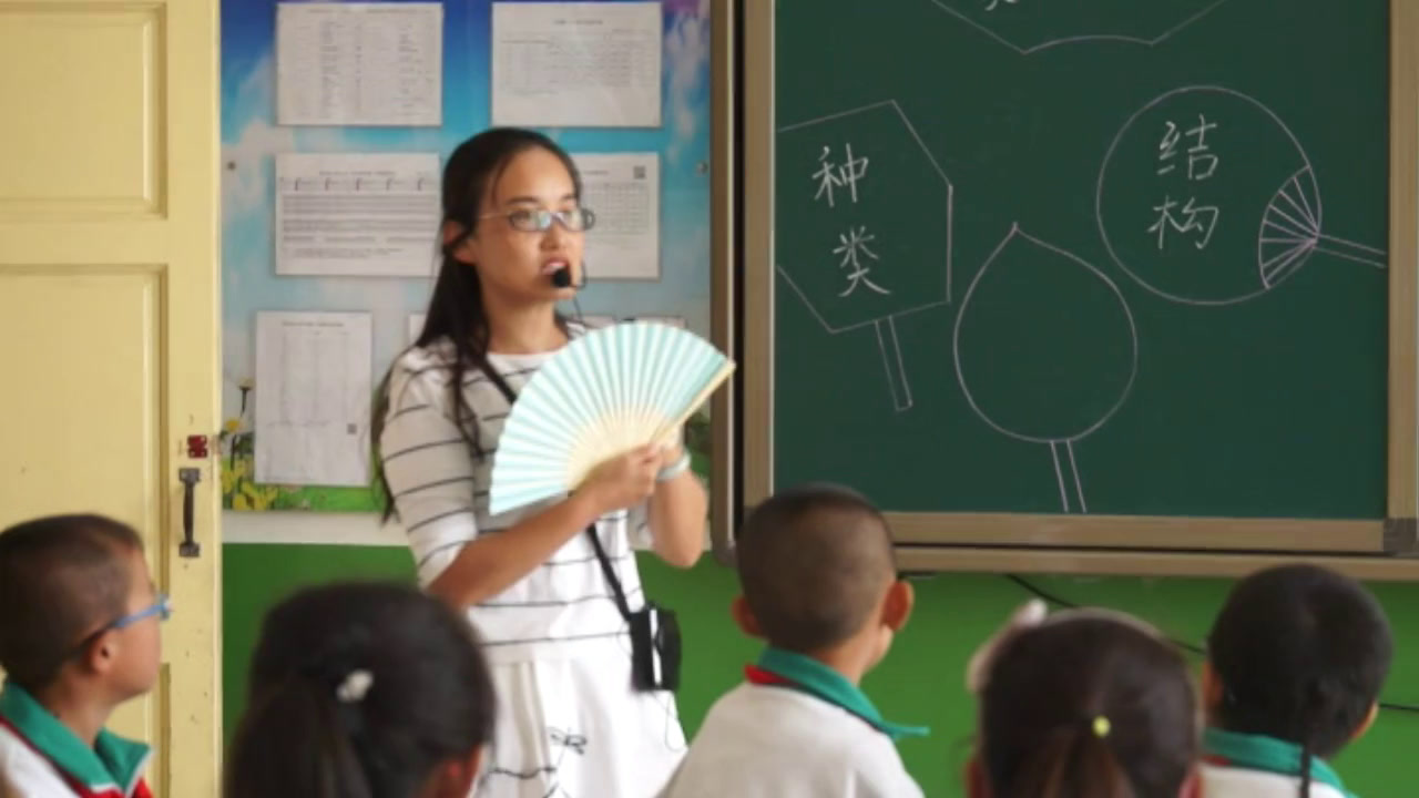岭南版美术三下《14.夏日的凉风》陕西杨老师-全国一等奖