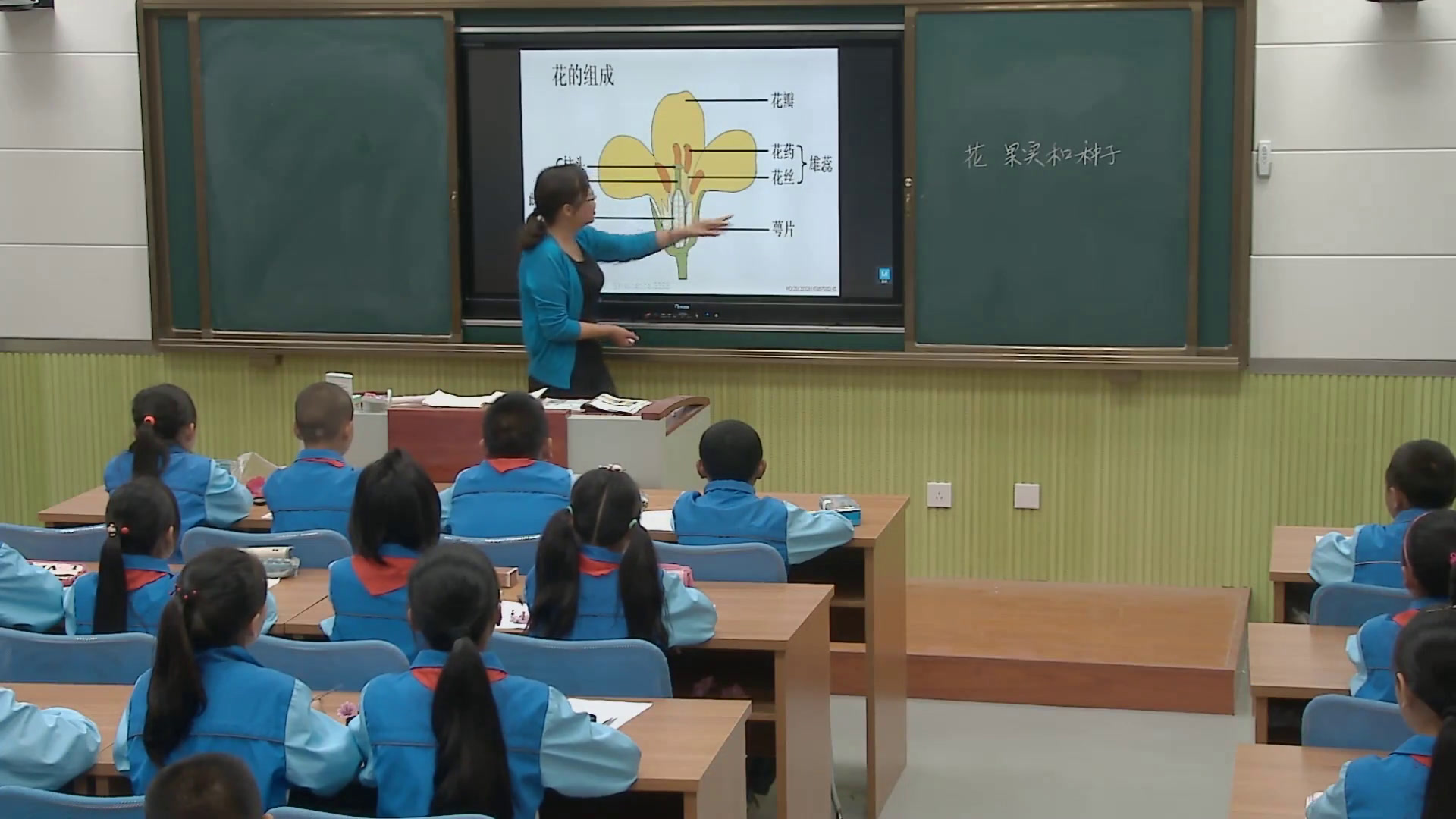 教科版科学四下《花、果实和种子》安徽吴老师-市一等奖