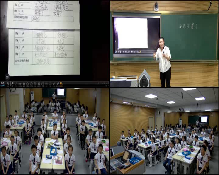 教科版科学四下《面包发霉了》吉林张老师-全国一等奖